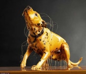 맛집 찾는 개꿀팁 - DogDrip.Net 개드립