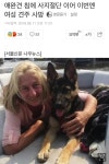 혐) 키우던 개에게 물려 감염.... 사망 혹은 사지절단 - DogDrip.Net 개드립