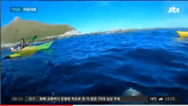 아저씨 문어 숙회 해드삼 - DogDrip.Net 개드립
