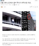 혐)셀카 찍다 27층에서 추락사 - DogDrip.Net 개드립