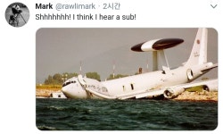 ??? : 야 조용히 해봐 물속이 안들리잖아 - DogDrip.Net 개드립