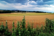 [14mb] 취미로 찍는 스냅! - DogDrip.Net 개드립