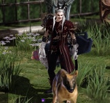 탐지견 찍엇다! - DogDrip.Net 개드립