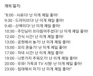 개와 고양이의 일기 - DogDrip.Net 개드립