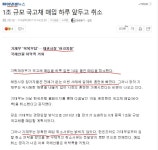 맞추어져가는 퍼즐들.jpg - DogDrip.Net 개드립