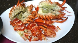 특별한 날엔 어떤 술이 좋을까? (약스압,85장) - DogDrip.Net 개드립