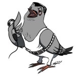 레이디오 가가 레이디오 구구 - DogDrip.Net 개드립