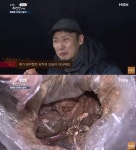 혐주의)자연인...짱돌찌개를 이은 신흥 강자 - DogDrip.Net 개드립