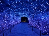 14.8MB] 광명동굴 다녀왔엉 - DogDrip.Net 개드립