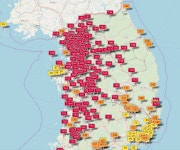 그 태양사건 때문에 시끄러운 와중에 - DogDrip.Net 개드립