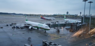 여기 어디일거가 - DogDrip.Net 개드립