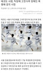 틱장애 치료법 - DogDrip.Net 개드립