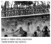 옛날 논산수영장.JPG - DogDrip.Net 개드립