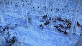 [토탈워] 삼국 正史 - 제 나라 (90) - DogDrip.Net 개드립