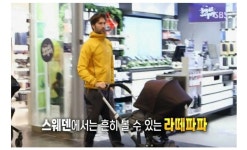 스웨덴에서 흔하다는 애보는 아빠들 - DogDrip.Net 개드립