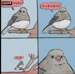 소전하실래요? - DogDrip.Net 개드립