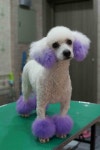 동네 구석진 미용실 특징 - DogDrip.Net 개드립