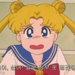 오늘부터 3일 동안 아나키스트 한다 - DogDrip.Net 개드립