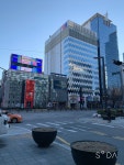 오늘 아침 강남 - DogDrip.Net 개드립