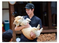웰시코기의 진실 - DogDrip.Net 개드립