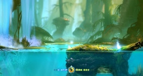 한템포 늦은 오리와 눈먼숲 - DogDrip.Net 개드립