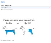 갓구글의 광고 - DogDrip.Net 개드립