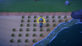 혹시 아직도 개미 못잡은 애들 있냐 - DogDrip.Net 개드립