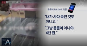 유튜버 갑수목장, 동물학대 논란 - DogDrip.Net 개드립