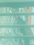 코로나19 실시간 feat 집앞 - DogDrip.Net 개드립