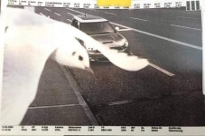 과속카메라 슈퍼새이브 - DogDrip.Net 개드립