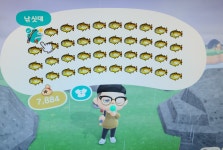 큰 물고기 섬 다녀왔다! - DogDrip.Net 개드립