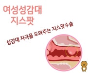 지스팟 수술이란것도 있네 - DogDrip.Net 개드립