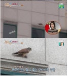 세상에 이런일이 미공개 x파일 레전드 - DogDrip.Net 개드립