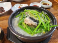 통영에서 먹은 복국 - DogDrip.Net 개드립