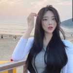 소설 쓰기 - DogDrip.Net 개드립