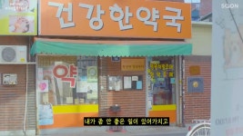 [스압] 성매매 집창촌에서 약국을 운영하는 이미선씨 - DogDrip.Net 개드립