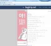 크롬 몇년만에 연동했더니 갑자기 추억의 즐겨찾기랑 테마가... - DogDrip.Net 개드립