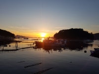 통영에서 찍은 사진들 - DogDrip.Net 개드립