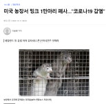 밍크야. 좆간이 미안해 - DogDrip.Net 개드립