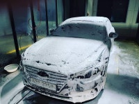 섹차했다 - DogDrip.Net 개드립