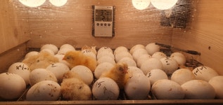 낯선 천장이다,, - DogDrip.Net 개드립