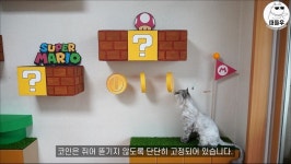 슈퍼마리오 캣워커.jpg (수정) - DogDrip.Net 개드립