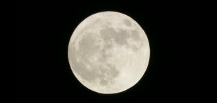 오늘 짱이 제일 잘한거 - DogDrip.Net 개드립