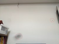 스마트폰 카메라 이상해졌다 도와줘 - DogDrip.Net 개드립