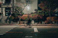 [데이터주의] 11월의 사진생활 정리 - DogDrip.Net 개드립