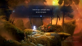 오리랑 도깨비불 사서 플레이 중 - DogDrip.Net 개드립