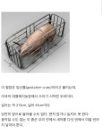 약혐)논란됐던 돼지 우리 - DogDrip.Net 개드립