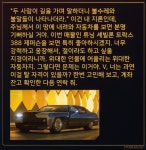 픽서 특 - DogDrip.Net 개드립