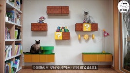 [나눔] 골판지로 만든 수퍼마리오 캣워커 쓰실 분 - DogDrip.Net 개드립