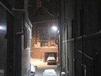 눈 오길래 호다다닥 뛰어 나왔다 - DogDrip.Net 개드립